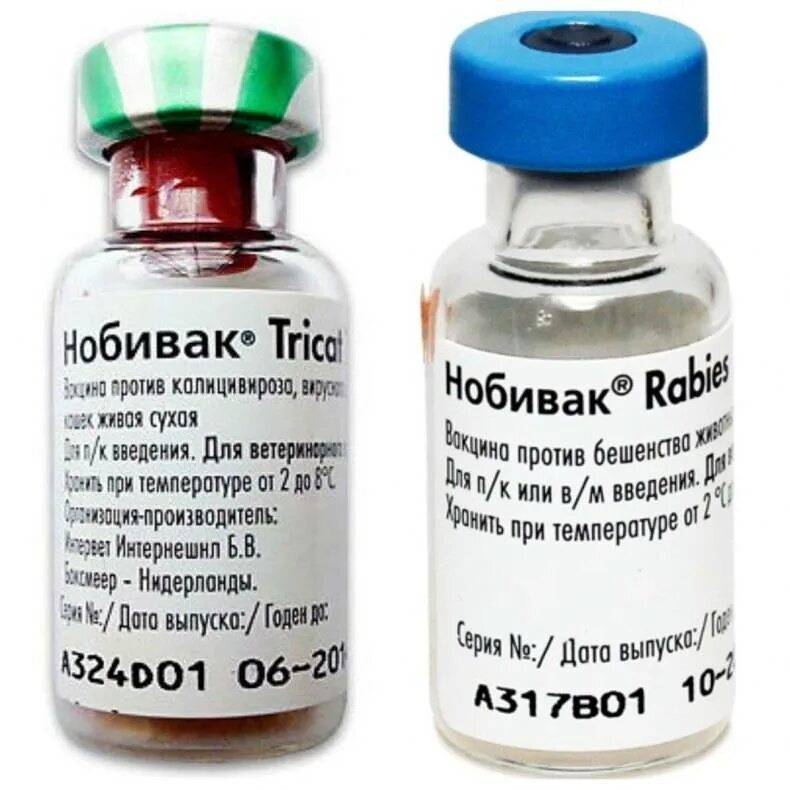 Нобивак DHPPI RL. Nobivac DHPPI. Нобивак Rabies. Нобивак DHPPI И рабиес. Купить вакцину нобивак для кошек в москве