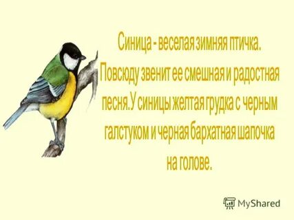 Образовать слово синица