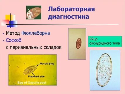 Метод флотации кала
