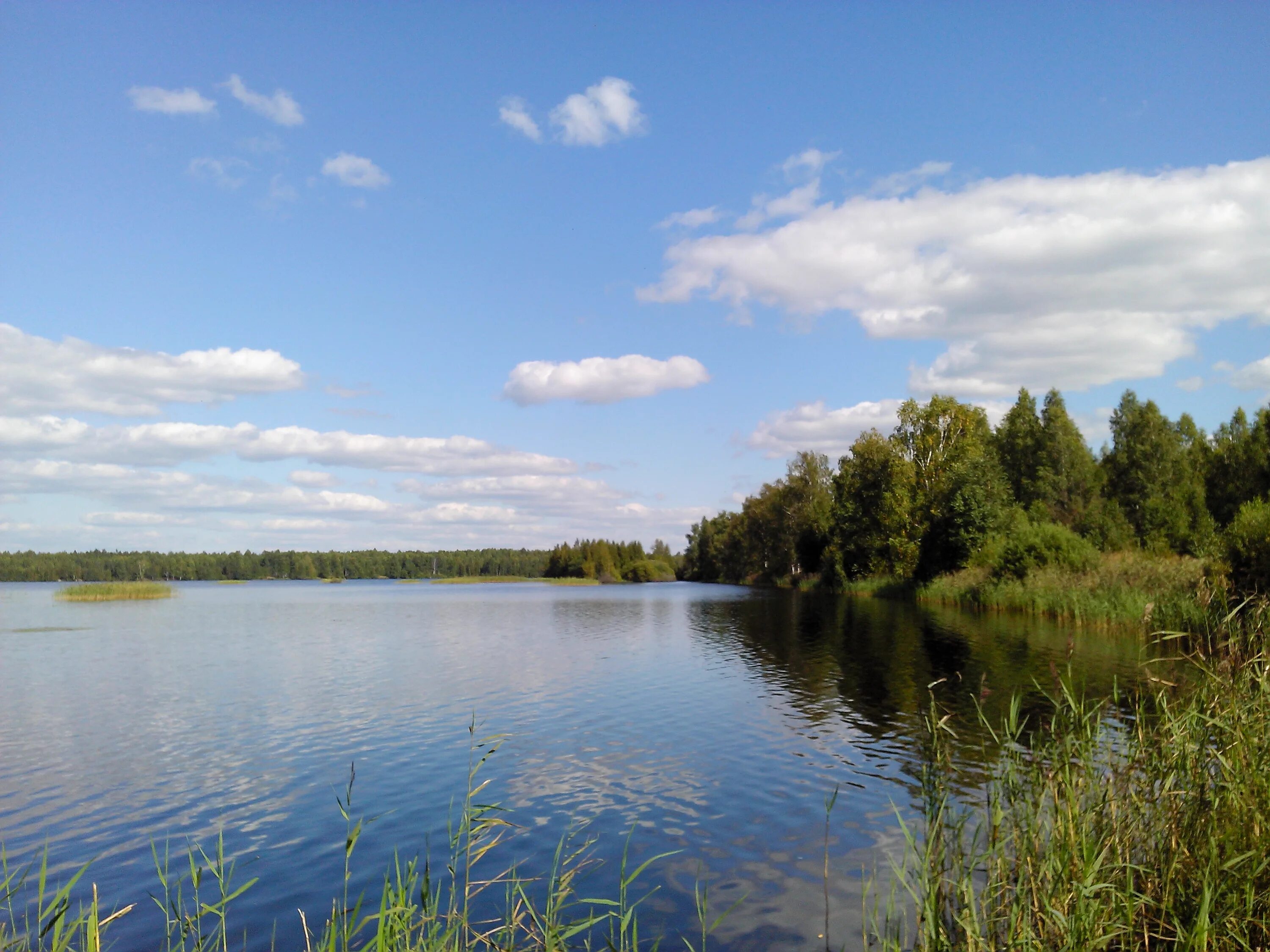 Озеро Керженец. Поселок Керженец Нижегородская область. Керженец Борский район Нижегородская область. Станция озеро Нижегородская область. Станция поселок озеро