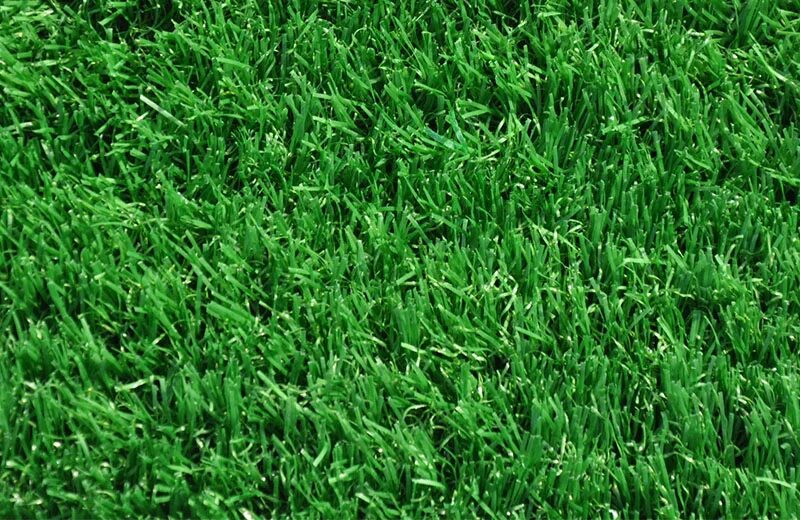 Grass check
