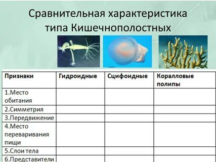 Характеристика кишечнополостных 7 класс биология