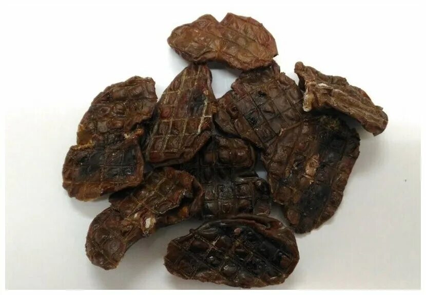 сосновые почки сушеные. почки сосны сушеные. сушеные лакомства для собак. как засушить сосновые почки. почки сушеные для собак.