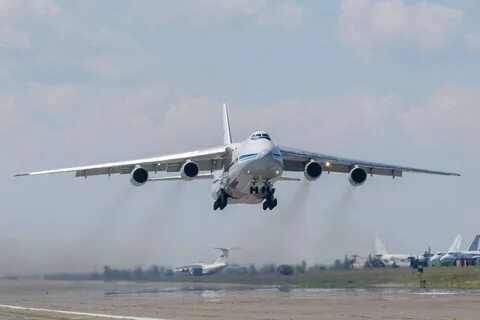Вта сетка