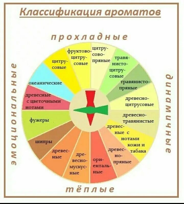 Классификация ароматов. Круг ароматов майкла эдвардса. Классификация духов по типу. Семейства духов. Семейства запахов.