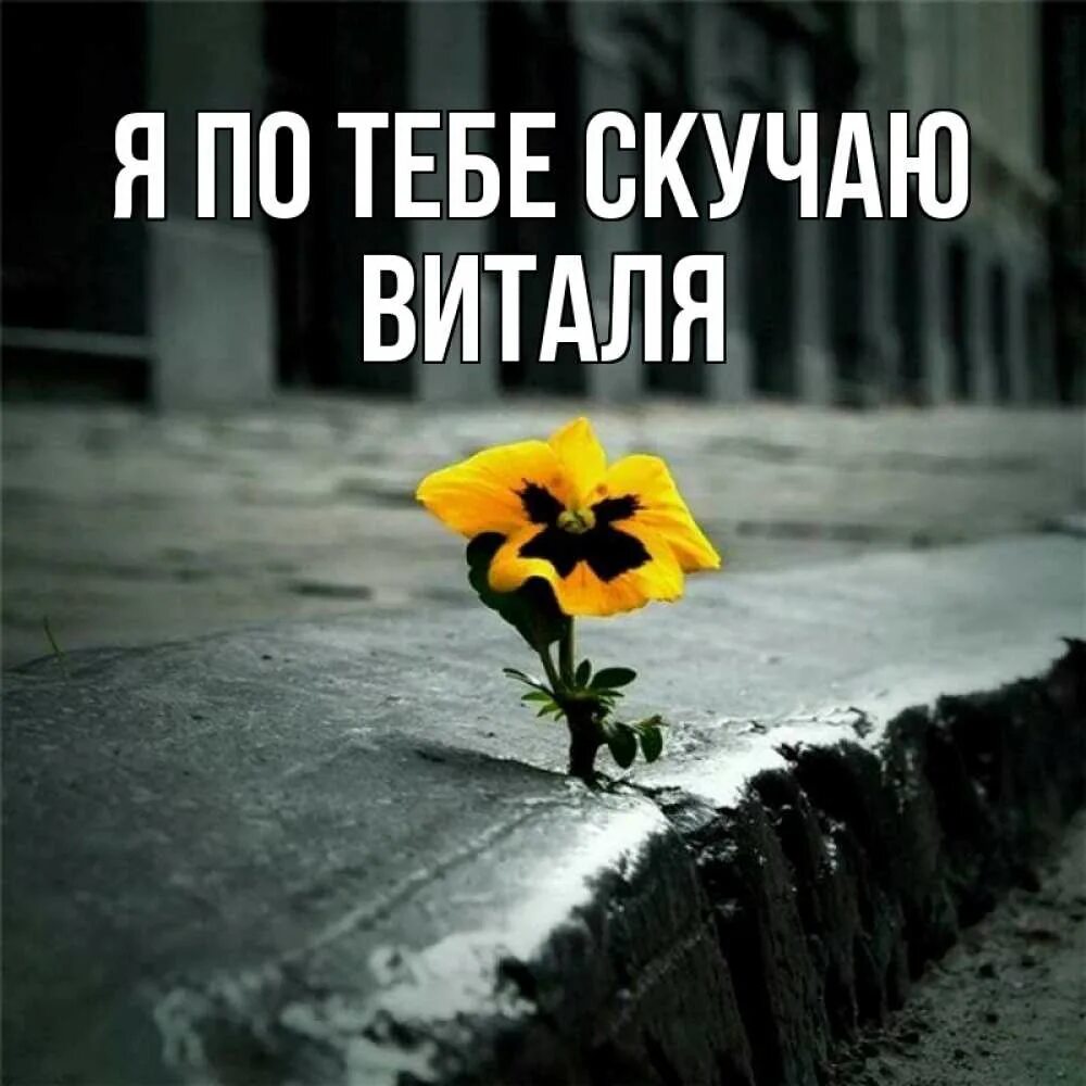 Открытка подруге скучаю. Сестра скучаю очень. Сестра скучаю очень. Юленька я тебя люблю очень сильно. Маленькая моя.