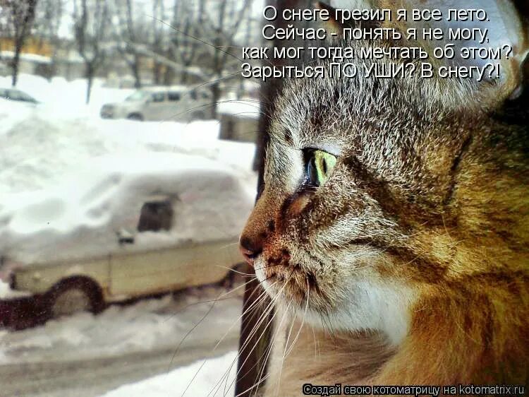 Сейчас поняли