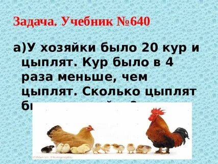 Сколько всего кур