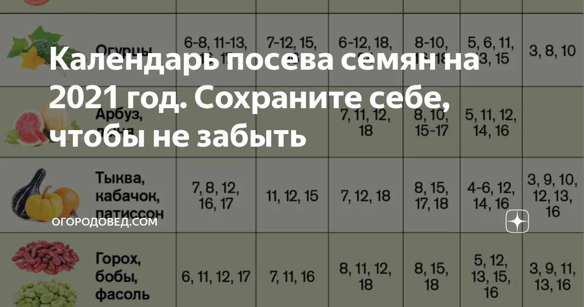 На какую луну сажать помидоры. Календарь посадки семян. Календарь посадки семян на 2021 год. Календарь посева семян на рассаду в 2021. Лунный календарь посева на 2021 год.