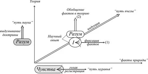 Привел путь