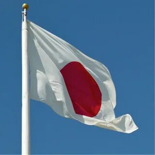 Type flag