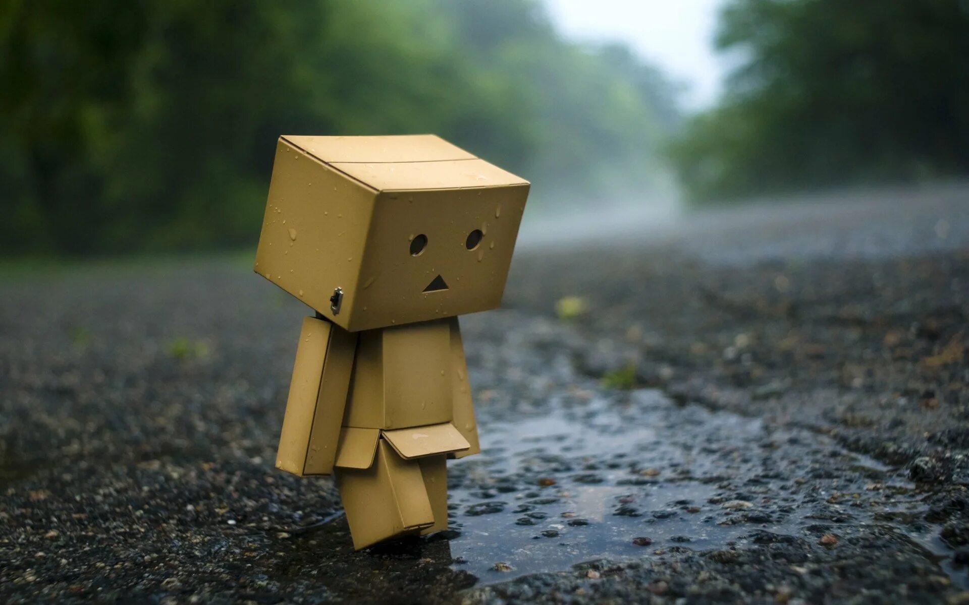 Triste est