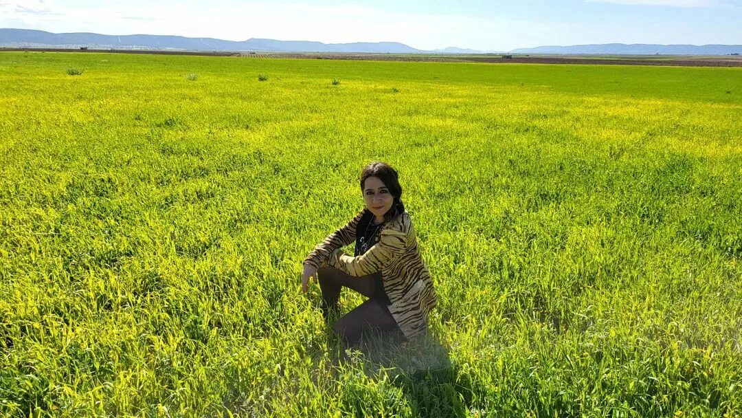 Que significa la camara con punto verde en instagram