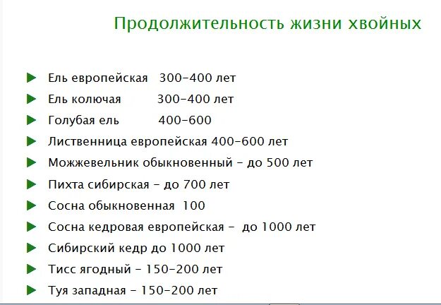 Продолжительность деревьев таблица 1. Срок жизни деревьев таблица 1 класс. срок продолжительности жизни деревьев таблица. клен продолжительность жизни дерева 1 класс окружающий мир. сколько лет живут деревья таблица окружающий мир.