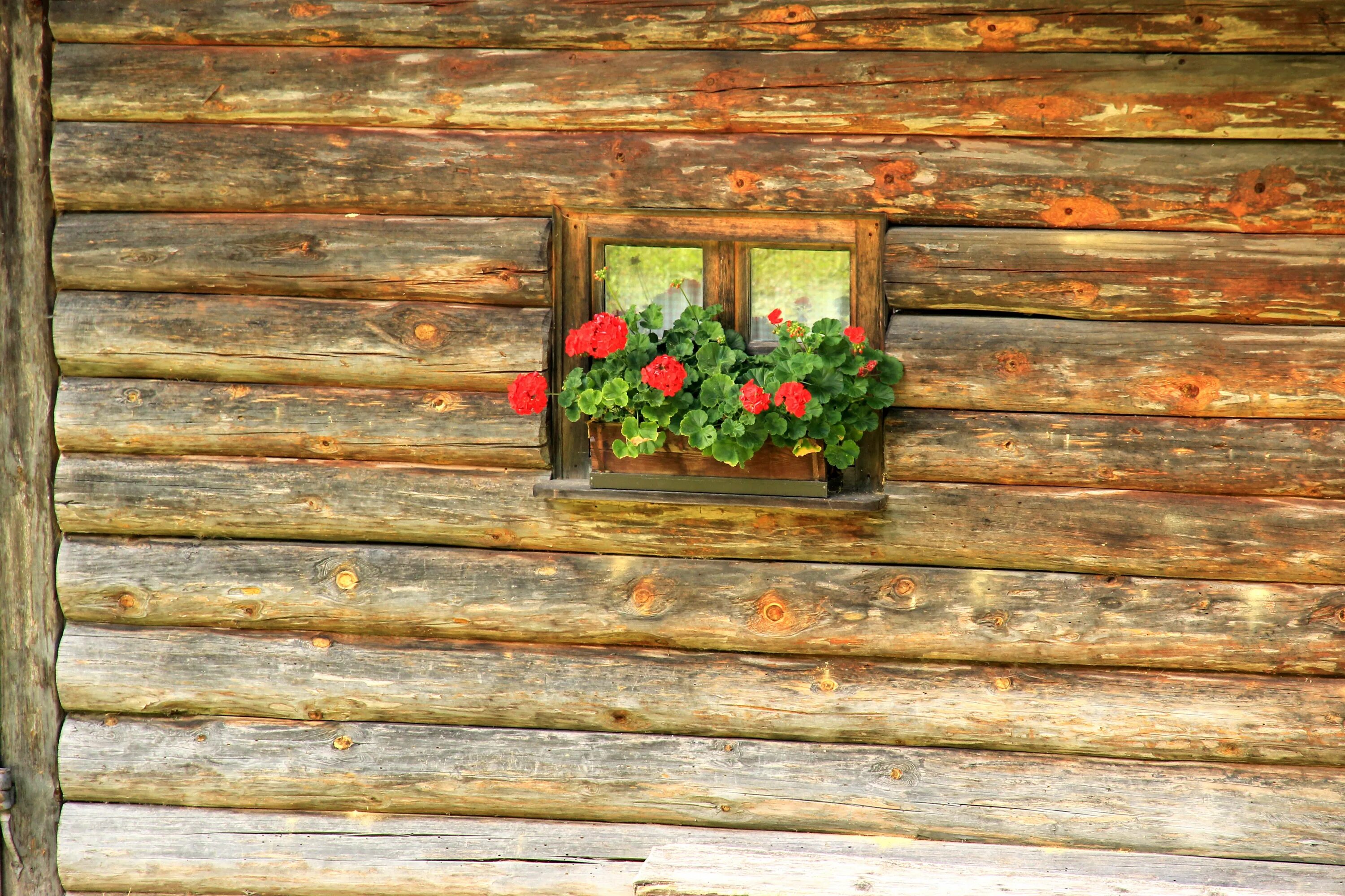 Window logging