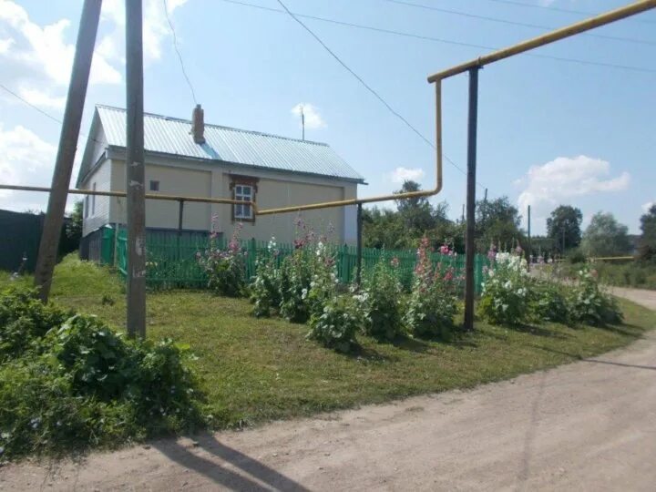 Ягодное Перевозский район. Перевоз домов. Село Ягодное Нижегородская область Перевозский. Перевоз домов села новое Раменского.