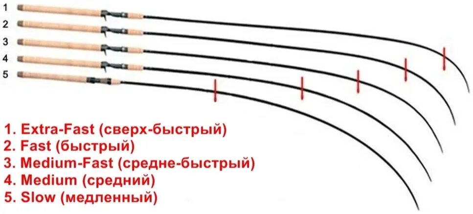 Media fast. Параболический Строй удилища для фидера. Строй спиннинга Медиум фаст. Extra fast Строй спиннинга. Параболик Строй удилища.