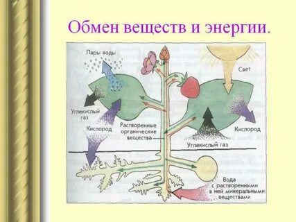 Обмен системы с окружающей средой