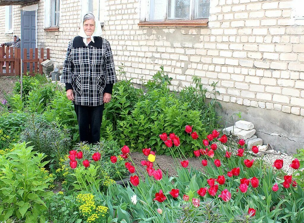 Цветники. Клумба под окном. Клумбы с цветами оформление. Какие цветы посадить в клумбу. Цветы урень