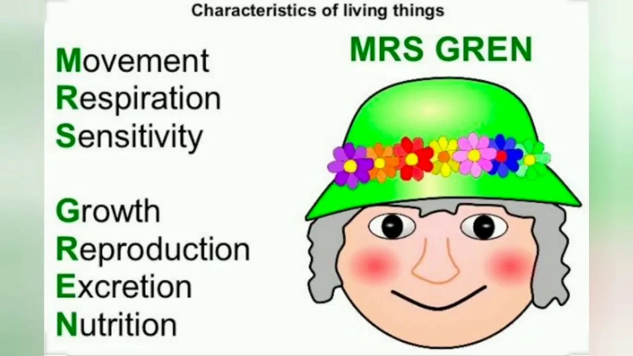 Mrs Green Biology. Life process: Mrs Green. 7 Life processes. Seven Life process. Life processes