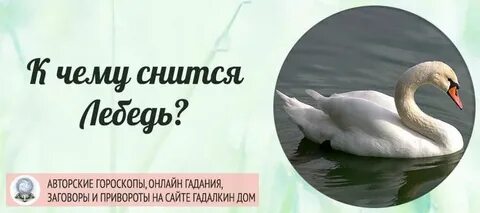 Видеть во сне белую птицу