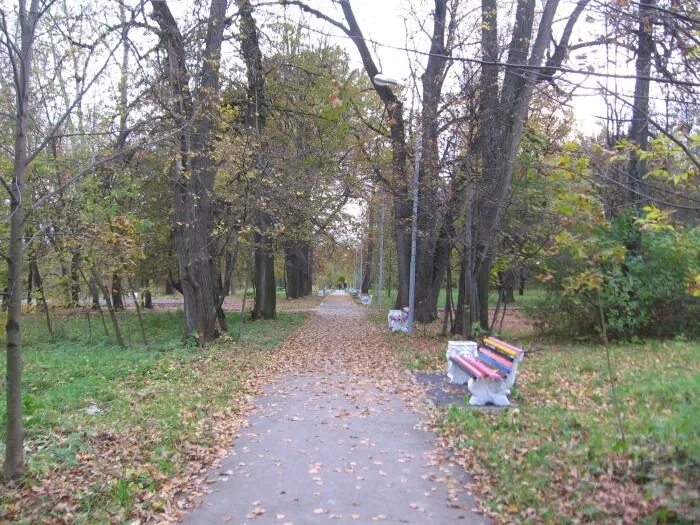 Подольск плещеева. Парк Плещеево Подольск. Усадьба Плещеева Подольск. Парки в Плещеево Подольск. Подольск деревня Плещеево д. 45.