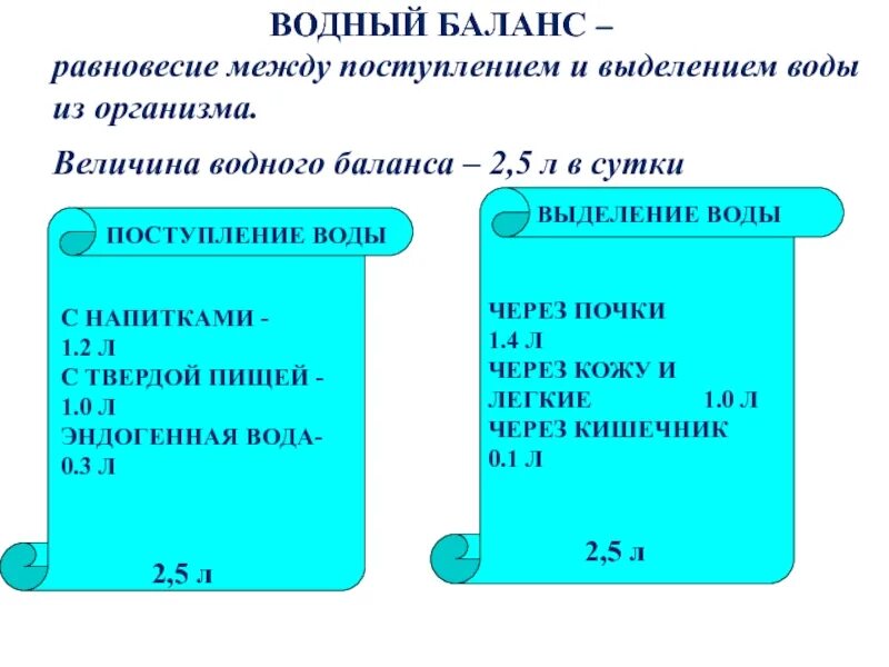 Водный баланс проценты. Водный баланс формула. Нормы показателей водного баланса. Нормальные показатели водного баланса. Как определить водный баланс.