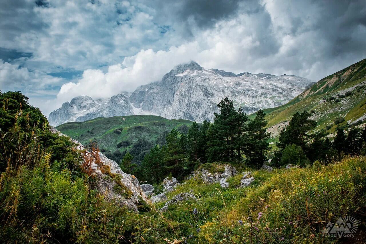 Горы Лаго-Наки Адыгея. Плато Лаго-Наки, Адыгея, Краснодарский край. Лаго Наки горы. Горы Адыгеи Лагонаки. Звезды северного кавказа