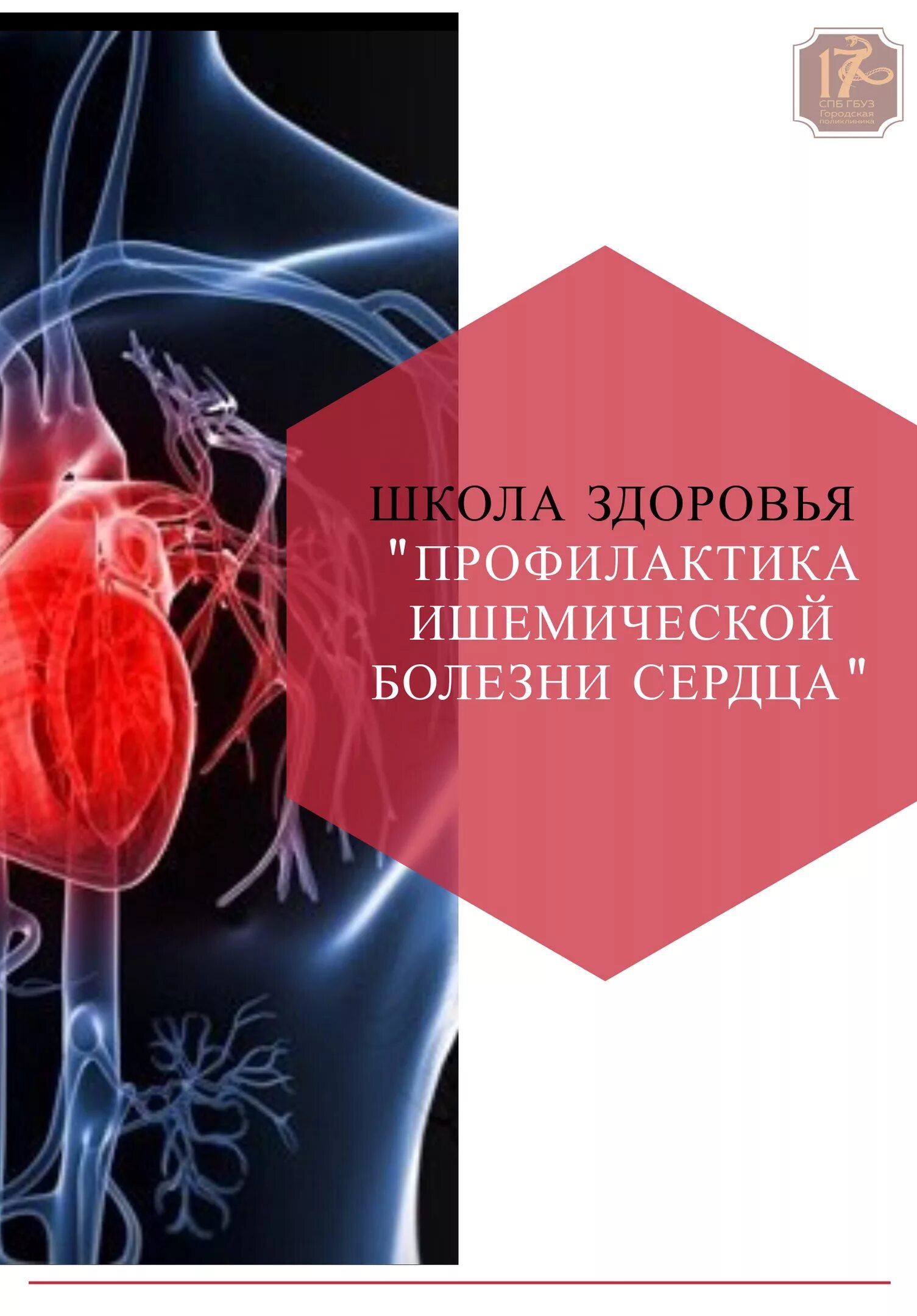 Вторичная профилактика ибс. Профилактика ибс. профилактика ишемической болезни. первичная профилактика ибс.