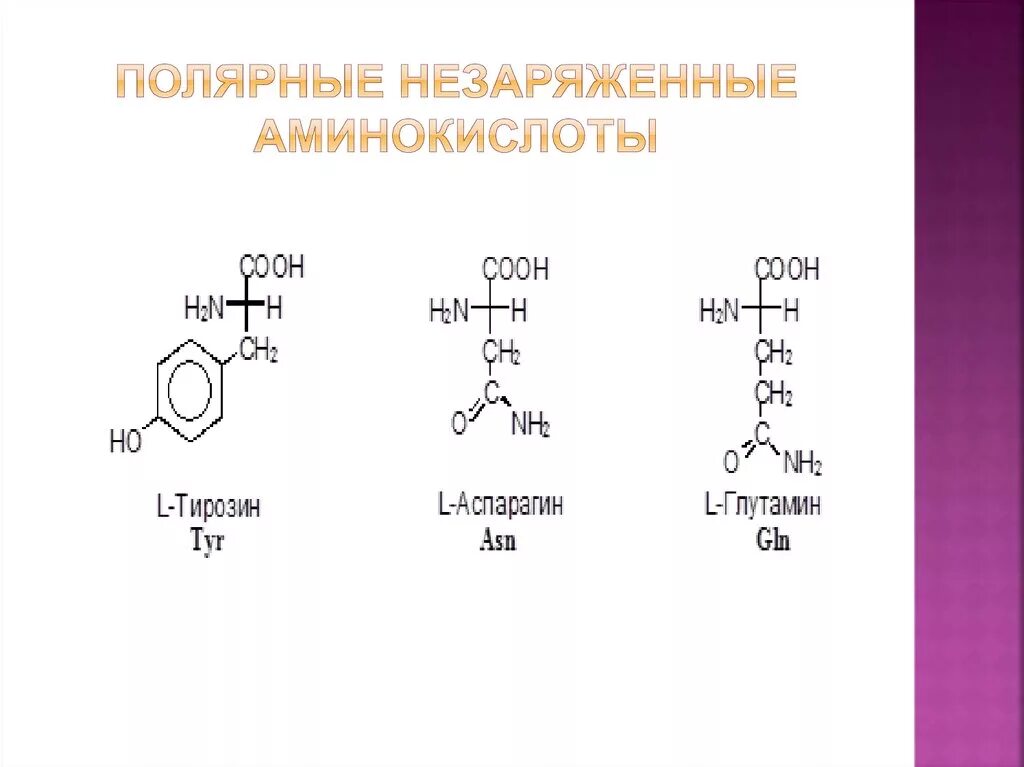 Полярные и неполярные радикалы аминокислот. Неполярные незаряженные аминокислоты. Аминокислоты формулы Полярные неполярные. Таблица аминокислот Полярных и неполярных. Состав радикалов аминокислот