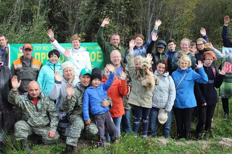 Погода в каменниках рыбинский район ярославская