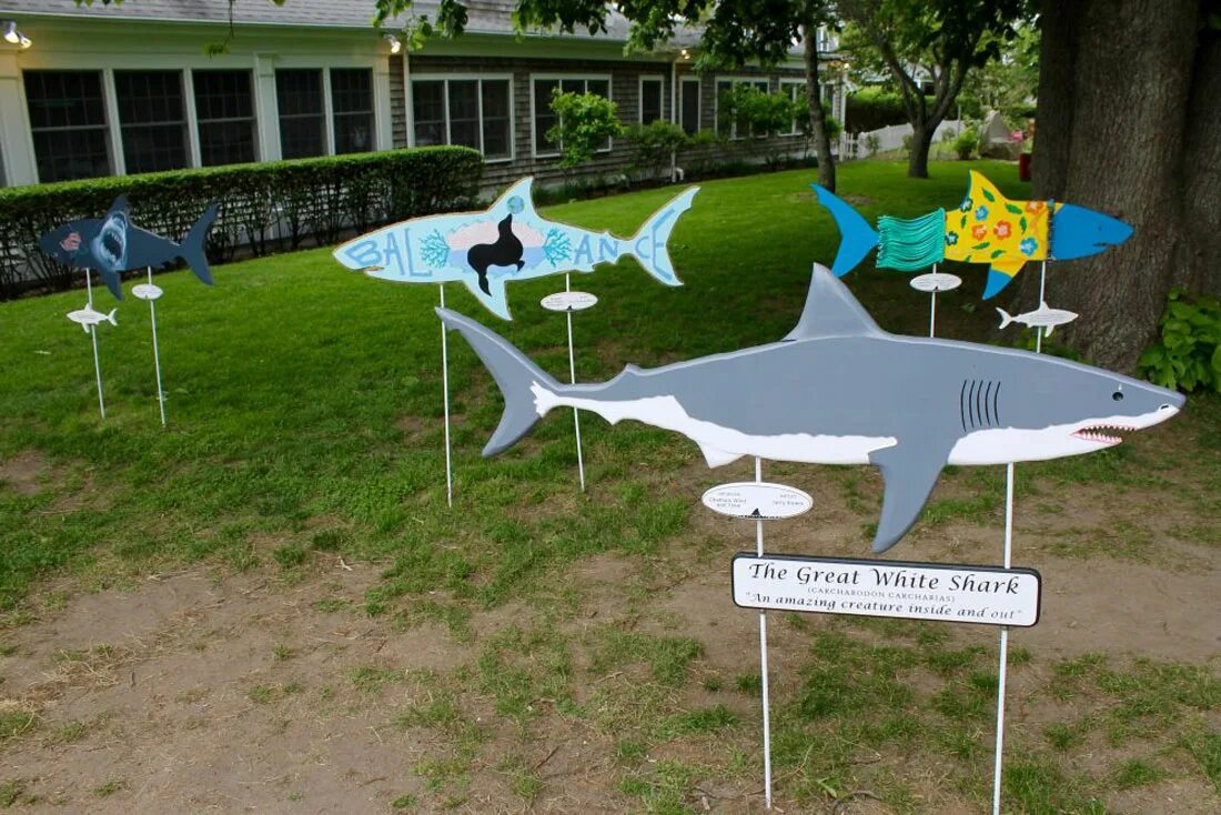 Развлекательный центр акула челябинск. Батут центр астрахань акула. Акула батуты астрахань. Парк ривьера акулы. Акула парк челябинск героев.