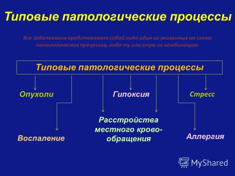 Причины патологических процессов. Типовые патологические процессы. Типичные патологические процессы. Виды патологических процессов. Патологический процесс это патофизиология.