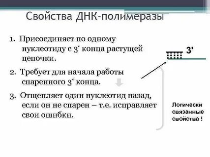 Качество днк