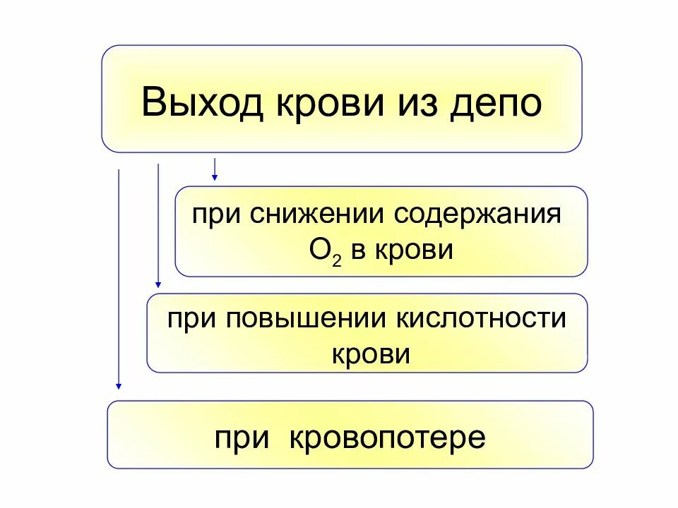 Депо крови в организме. Роль депо крови выполняет. Кровяное депо физиология. Органы депо крови и их физиологическое значение. Депо крови в организме человека.