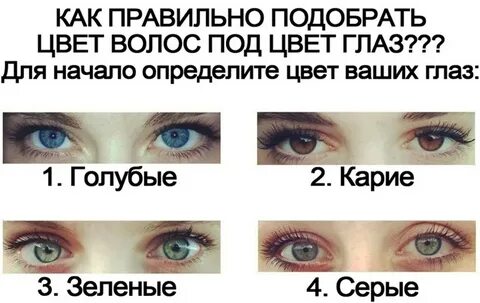 Определить твой цвет