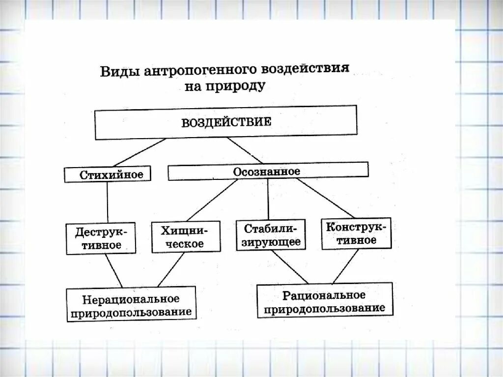 Антропогенные воздействия связано. Антропогенное воздействие. Схема антропогенного воздействия на окружающую среду. Антропогенное воздействие схема. Составить схему антропогенного воздействия на окружающую среду.