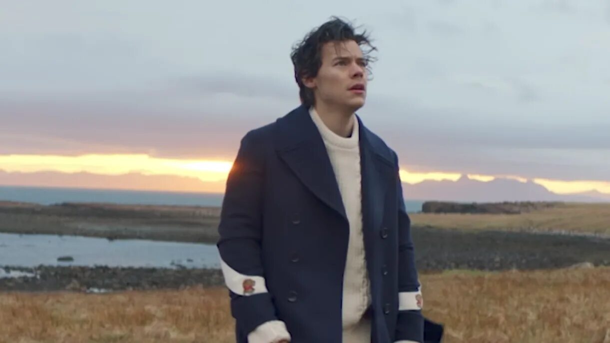 Sing of the times. Harry Styles sign of the times. Sing of the times Harry Styles. Певцов в пальто.