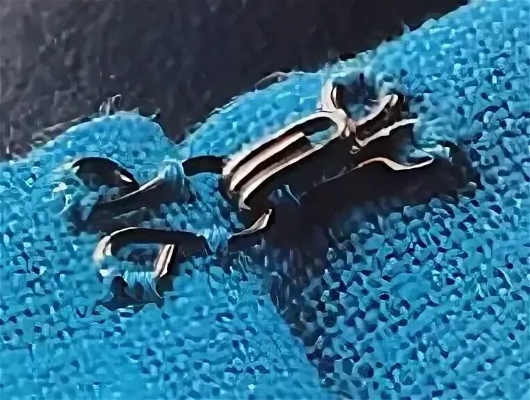 Крючок на одежду пришить. Как пришить крючок. Как пришить крючок. Как пришить крючок. Как пришить крючок.