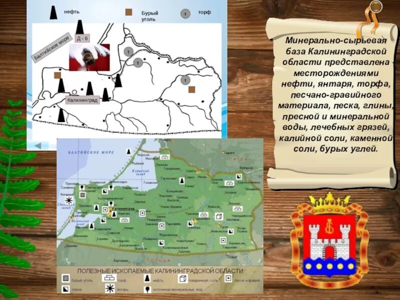 Калининград ископаемые. Полезные ископаемые калининградской. Полезные ископаемые калининградской. Полезные ископаемые соль калининградской области. Ископаемые калининградской области.
