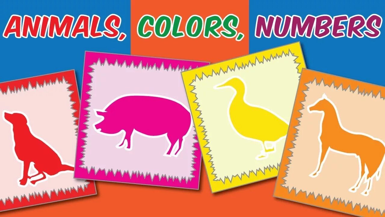 More animal colors. Animals and colours. count animals.