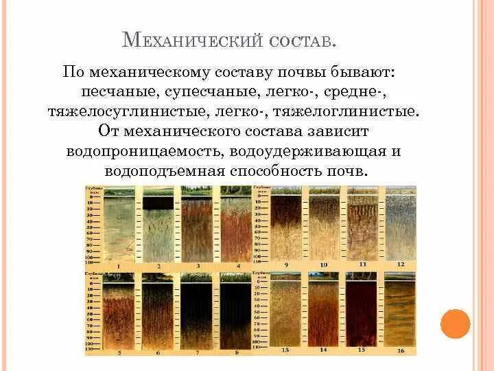 Методы определения механического состава почв. Методы определения механического состава почв