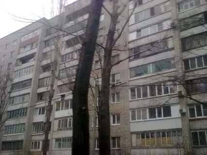 Улица сады 2