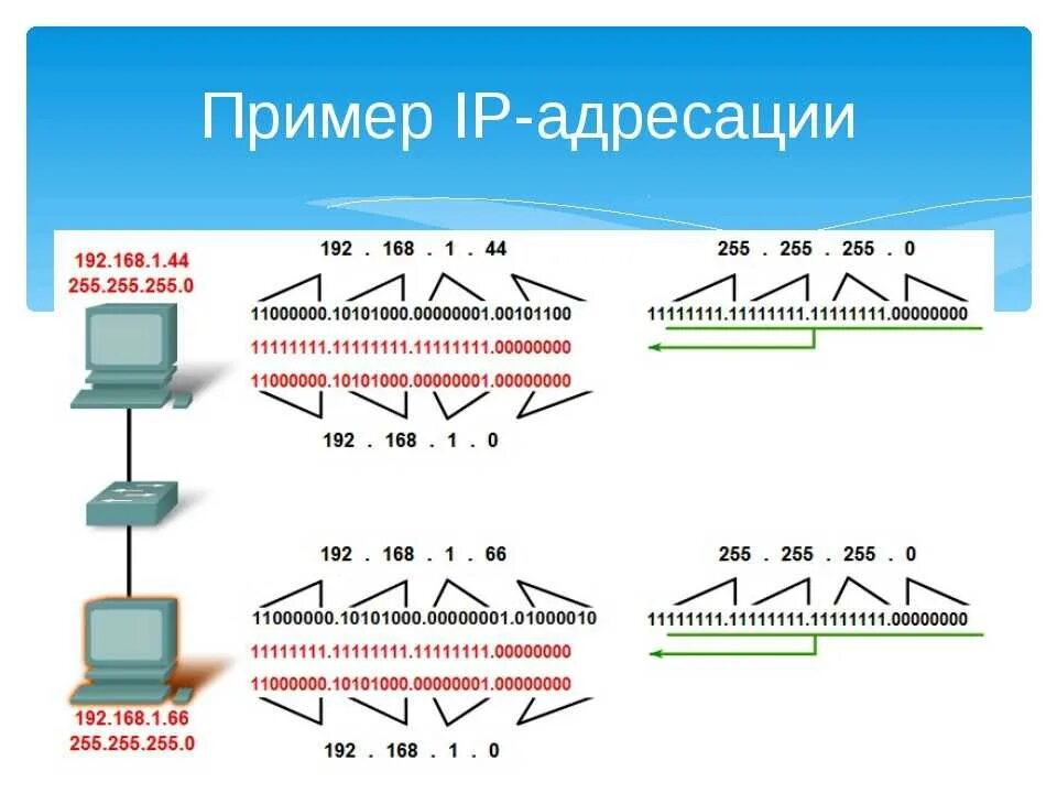 2 ip 1 компьютер. Глобальные сети IP адресов. Составные части IP адреса. Схема IP адресации. Схема локальной сети с IP адресацией.