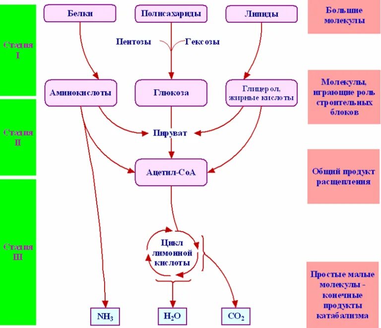 Этапы унификации субстратов
