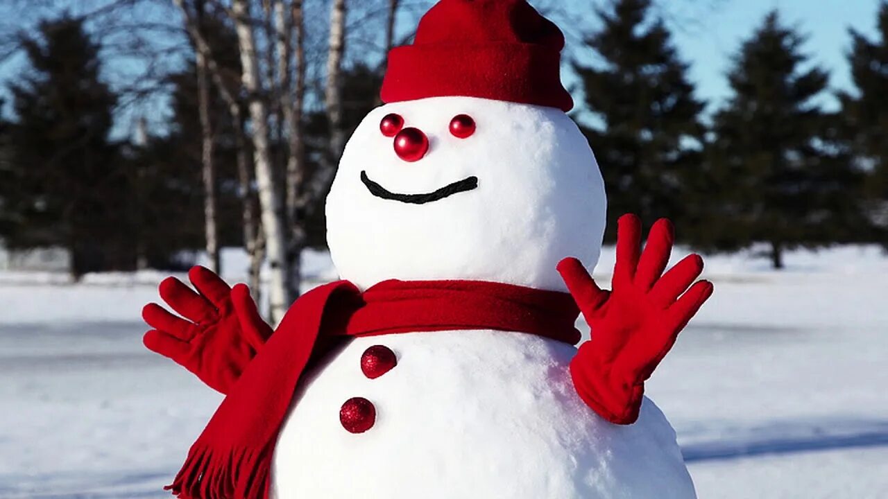 Снеговики настоящие. Снеговик из снега. Красивые Снеговики из снега. Снеговик улыбается. Включи видео снежная