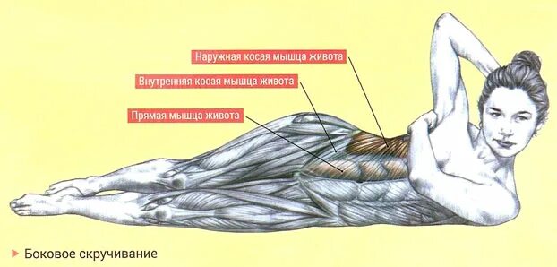 Поперечная мышца живота как накачать. Боковые скручивания на пресс. Скручивание косых мышц живота. Упражнения на косые мышцы живота. Внешние косые мышцы живота упражнения.