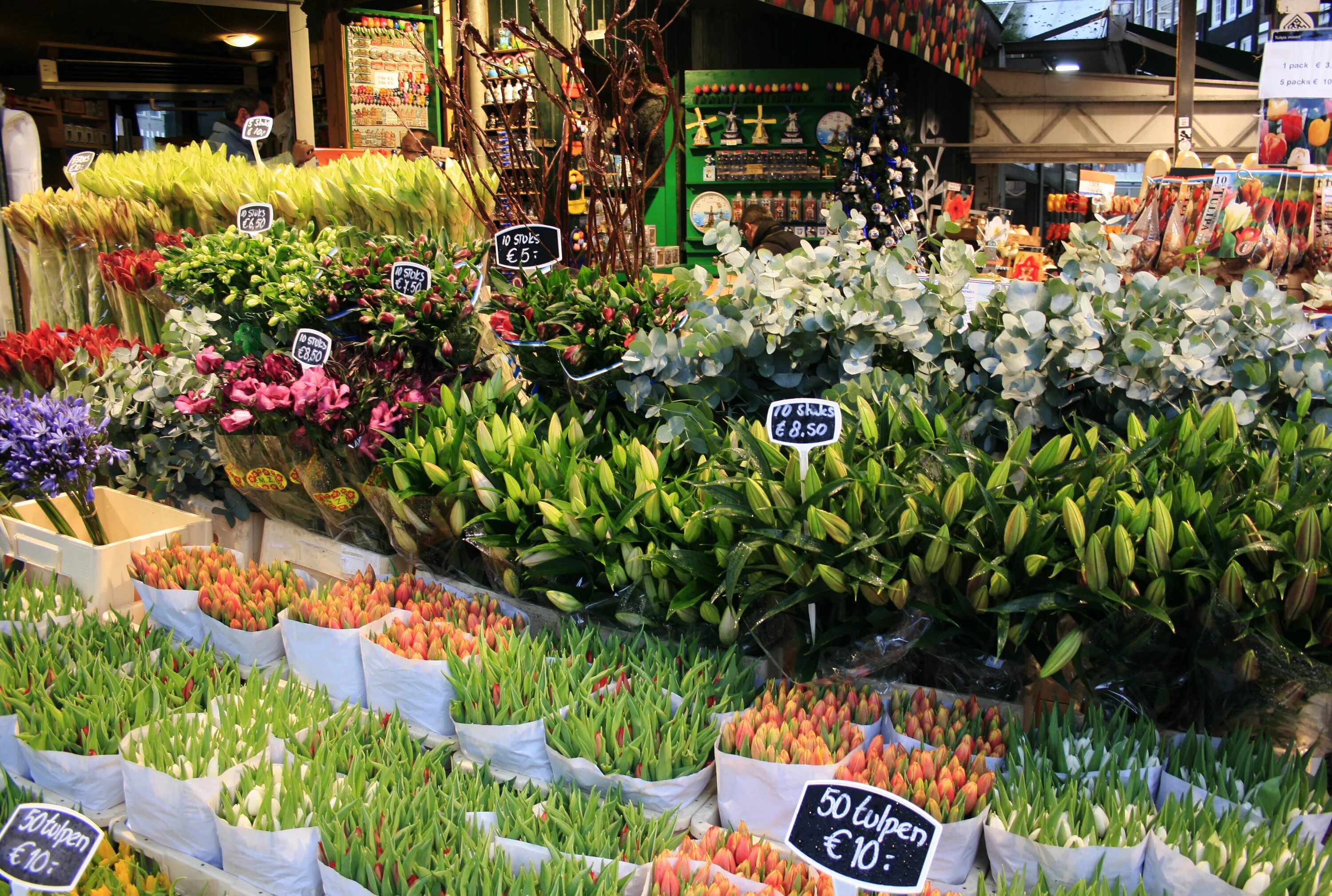 Новый цветочный рынок. Цветочный рынок Блюменмаркт Амстердам. Рынок Bloemenmarkt Амстердам. Рынок тюльпанов в Амстердаме. Плавучий рынок Амстердам.