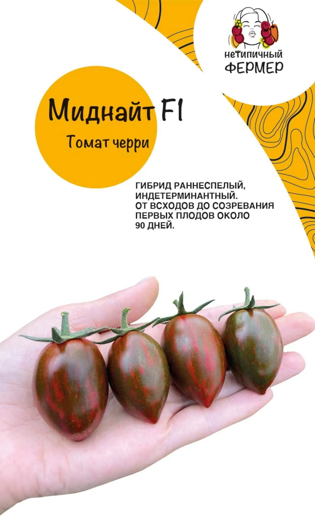 Томат миднайт. Черри Миднайт томат. Томат финик черри само совершенство. Томат Миднайт партнер. Семена нетипичный фермер.