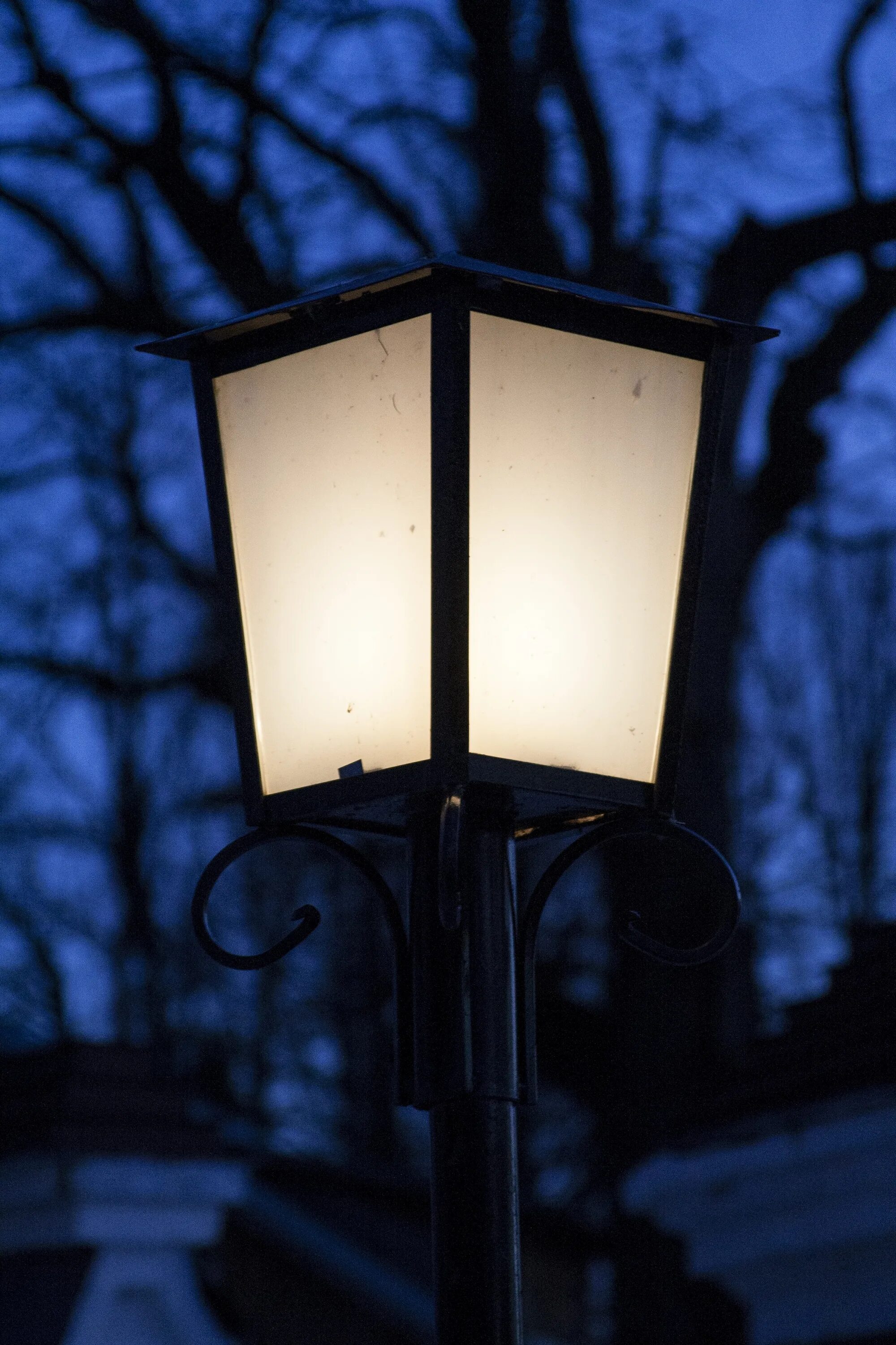 Ночные фонари купить. Фонари. Фонарь на улице. Уличные фонарики. Вечерние фонари.